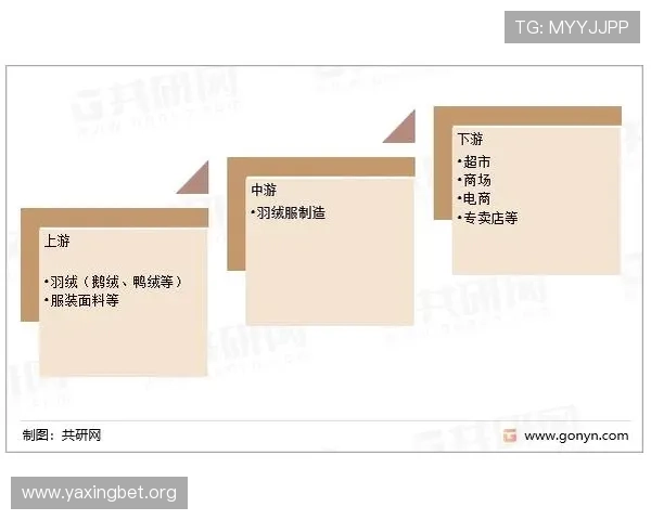 K8视讯网在游戏直播行业中的竞争优势及未来发展潜力探讨