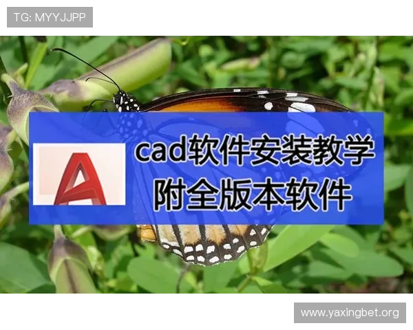 瓦力视讯下载常见错误及解决方案，确保顺利完成软件安装