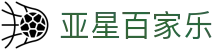 亚星百家乐玩法说明与赔率知识整理｜yaxingbet.org